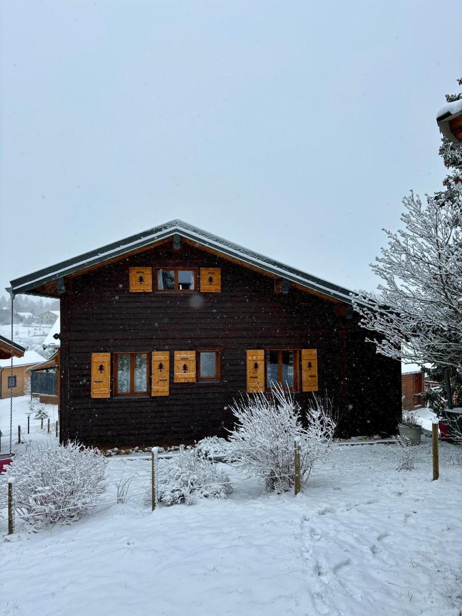 Chalet L'Embellie - Chalet Avec Piscine Partagee Saint-Laurent-en-Grandvaux Εξωτερικό φωτογραφία